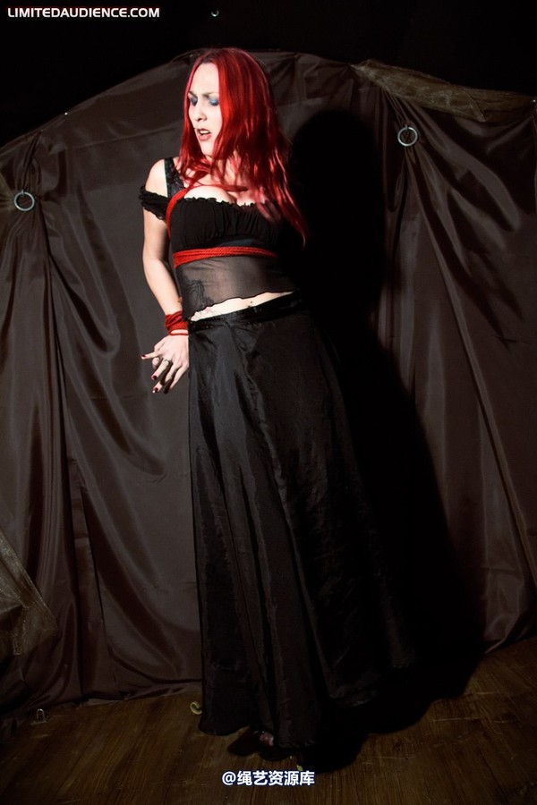 limitedaudience - 2010 elyssia bound to a pole 第 3 张图片
