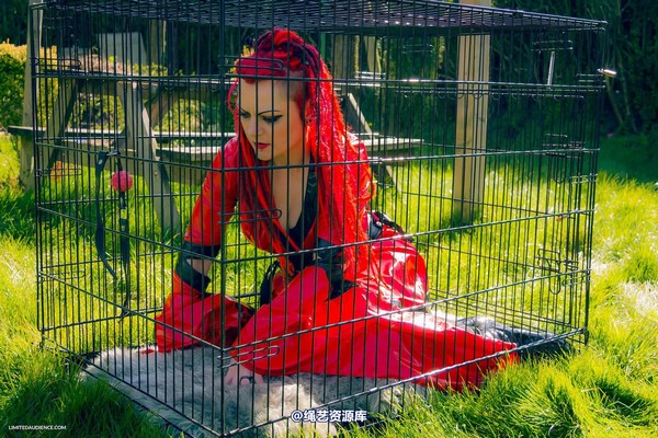 limitedaudience - 2015 raevan into the cage 第 13 张图片
