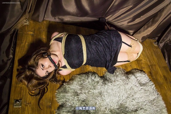 limitedaudience - 2014 trisha hogtied 第 26 张图片