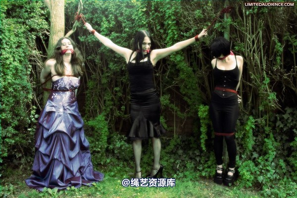 limitedaudience - 2009 catya elyssia lolly pleasure reserves 2 第 29 张图片