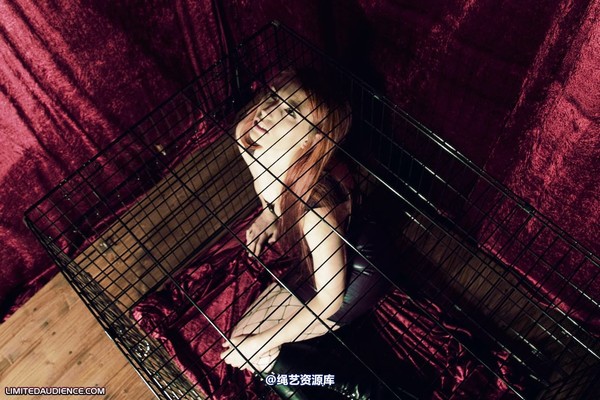 limitedaudience - 2009 ivory not getting out 第 14 张图片