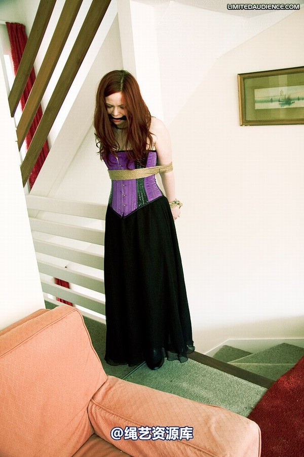 limitedaudience - 2009 brede the party slave two part 2 第 33 张图片