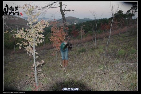 唯美之家 - 2008-11-27萧雅 第 231 张图片