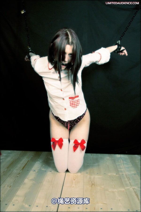 limitedaudience - 2008 blossom blois disciples of hoissy 2 第 9 张图片