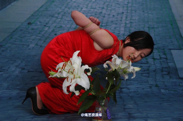 唯美之家 - 青灵五花 第 29 张图片