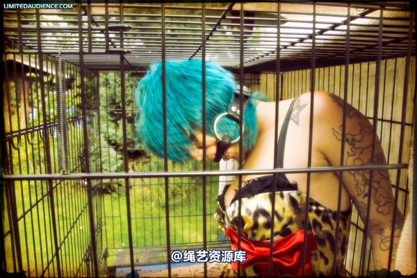 limitedaudience - 2009 b caged animal 第 21 张图片