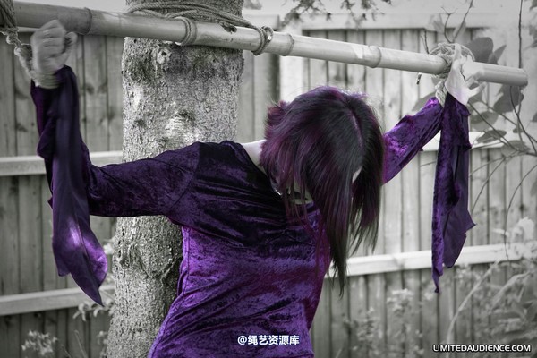 limitedaudience - 2010 carmina unwilling offering 第 13 张图片