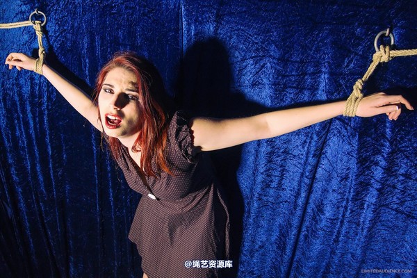 limitedaudience - 2013 ivory not what she meant 第 10 张图片