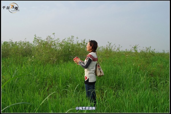 千丝万缕 - 2008-04-06日照片 第 91 张图片