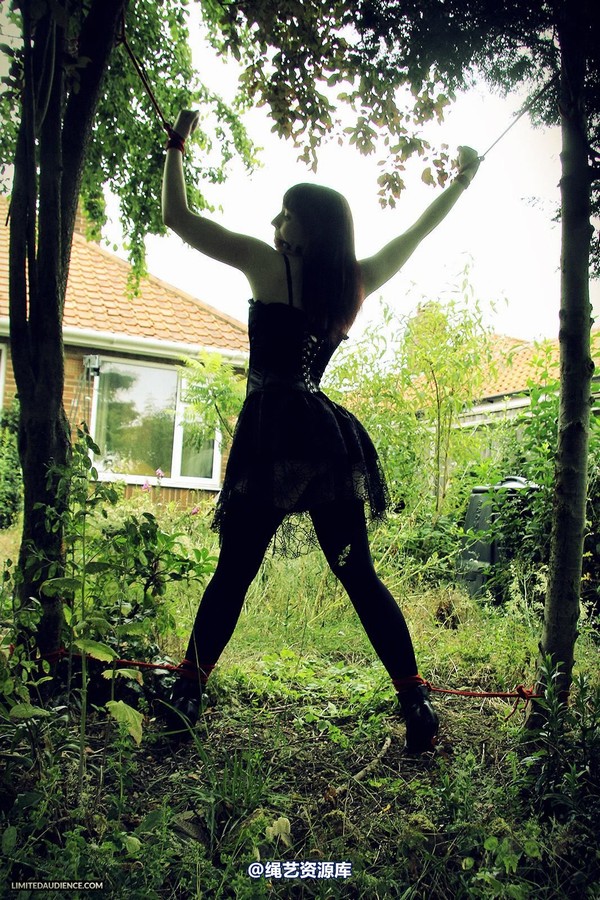 limitedaudience - 2013 syrah lee helpless outdoors 2 第 19 张图片
