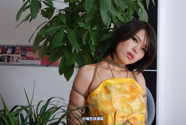 唯美之家 - 书兰-黄礼服 第 25 张图片