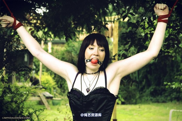limitedaudience - 2011 syrah lee helpless outdoors 第 3 张图片