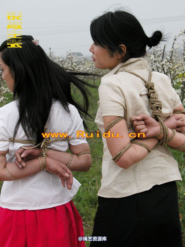 锐度主张 - 婷婷和寒冰梨花林中 第 67 张图片