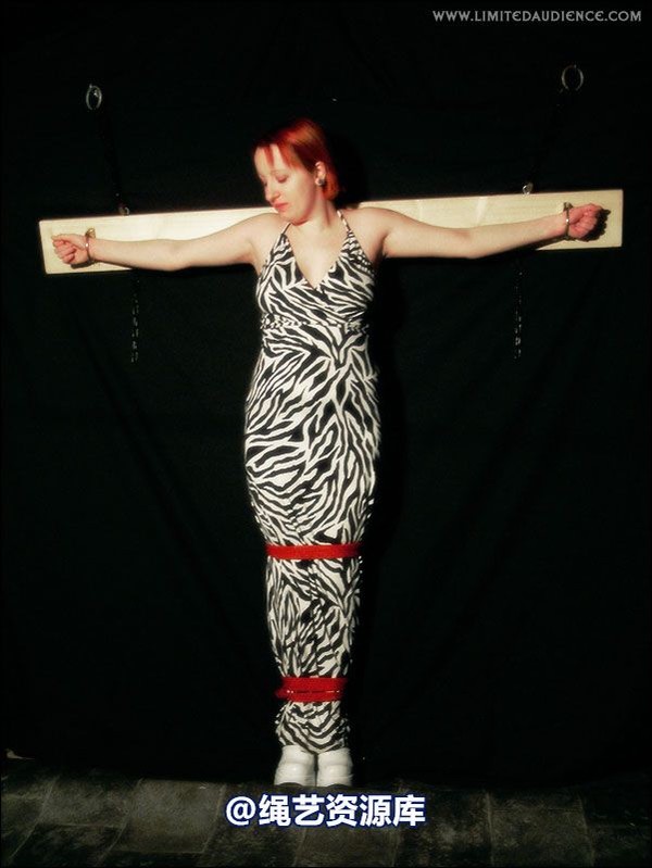 limitedaudience - 2007 erin chained animal 第 8 张图片
