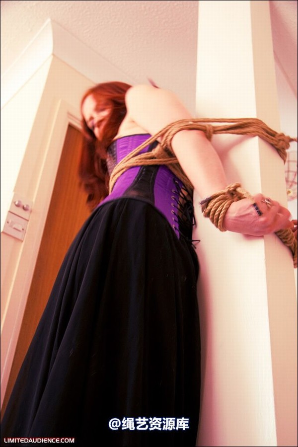 limitedaudience - 2008 brede the party slave two 第 27 张图片