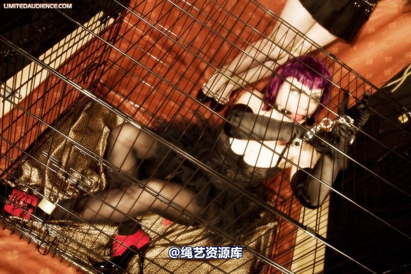 limitedaudience - 2009 catya raevan alptraum part iii 2 第 27 张图片