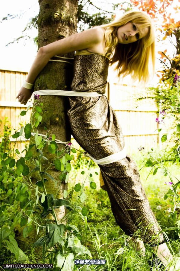 limitedaudience - 2011 ariel tied to a tree 2 第 28 张图片
