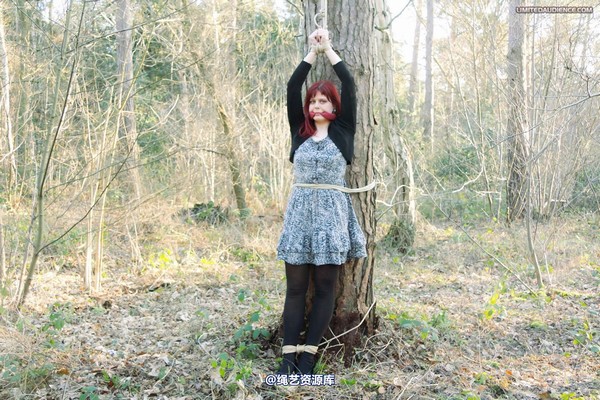limitedaudience - 2012 scarlett far from help 第 33 张图片