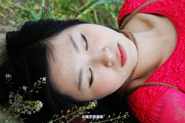 mj影视 - 梅晓枫―执行枪决2013-05-09 第 110 张图片