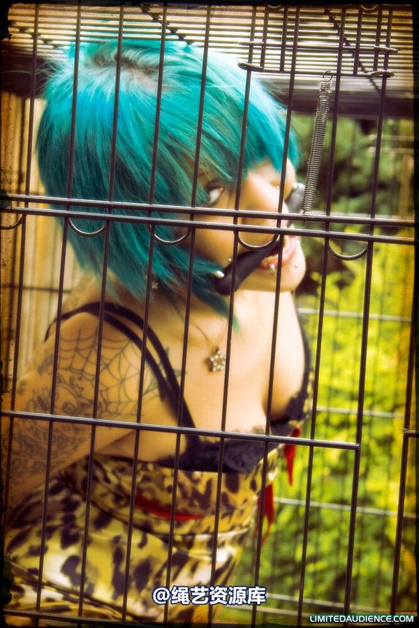 limitedaudience - 2009 b caged animal 第 9 张图片