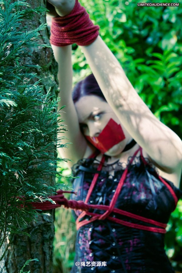 limitedaudience - 2011 carmina and the tree 3 第 12 张图片
