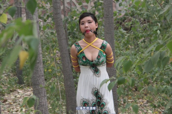 胜景山庄 - 275-山林绑着堵嘴狂跑 第 61 张图片