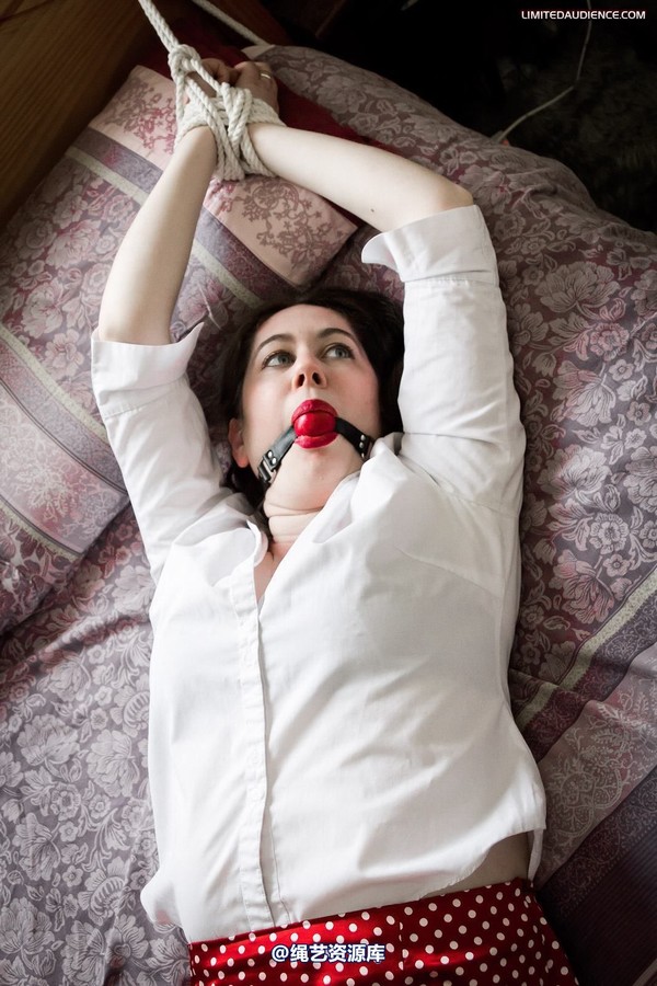 limitedaudience - 2012 catya bound secretary 第 23 张图片