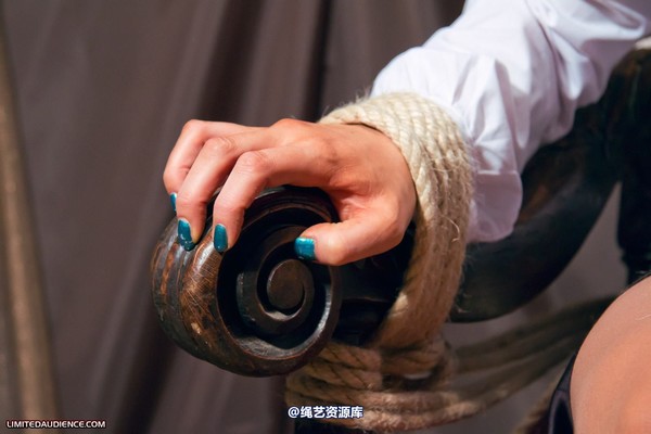 limitedaudience - 2011 elle author in peril 第 3 张图片