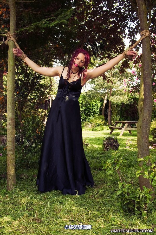 limitedaudience - 2010 beckykat between trees 第 33 张图片