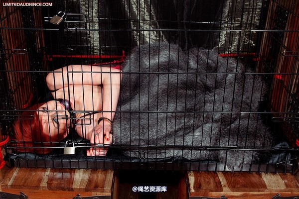limitedaudience - 2010 madison rouge caged and displayed 2 第 1 张图片