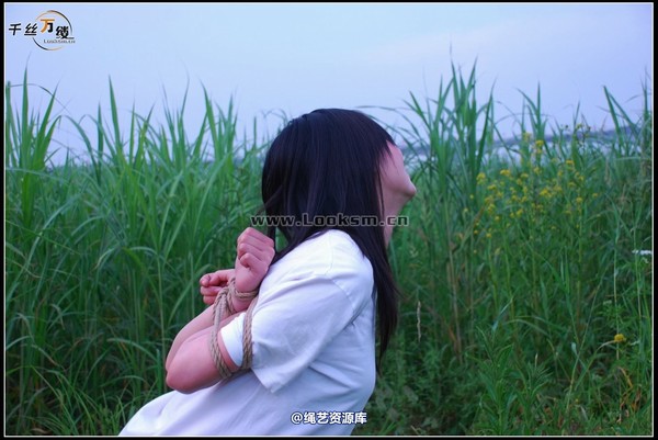 千丝万缕 - 2008-04-29-4日 第 87 张图片
