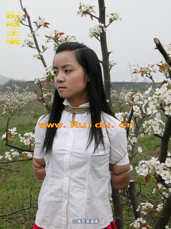 锐度主张 - 婷婷和寒冰梨花林中 第 26 张图片