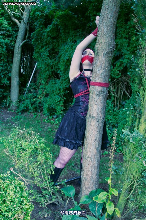 limitedaudience - 2011 carmina and the tree 3 第 18 张图片
