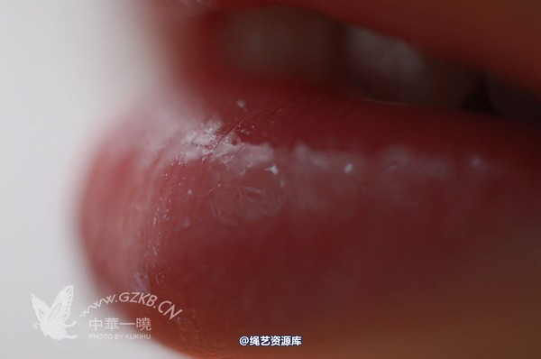 中华一晓 - 中华一晓 NO.0558 第 48 张图片