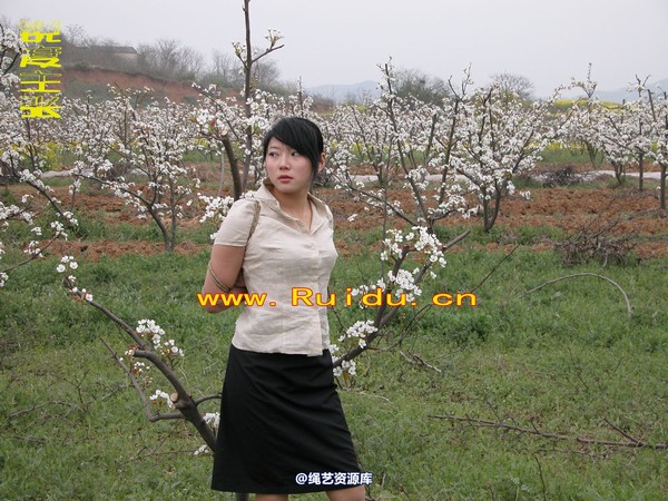 锐度主张 - 婷婷和寒冰梨花林中 第 15 张图片