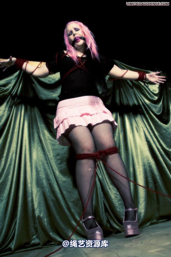 limitedaudience - 2009 assisted suicide profoundly entangled 2 第 10 张图片