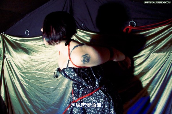 limitedaudience - 2009 deception a painful wait 第 31 张图片