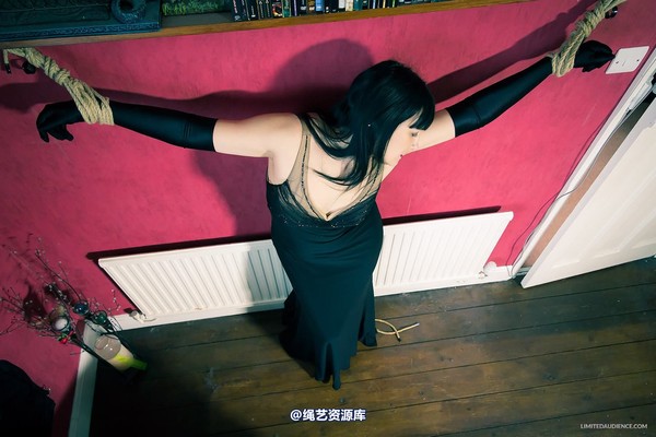 limitedaudience - 2013 dynamo incredulous captive 第 5 张图片