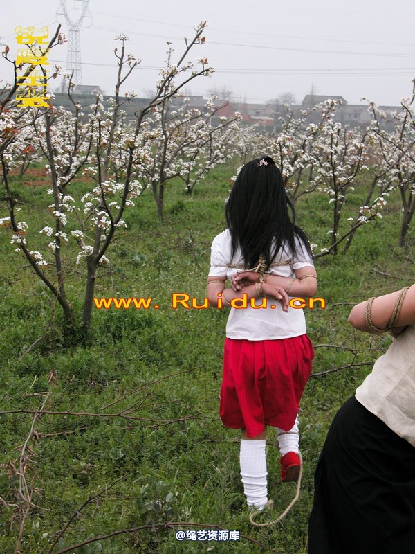 锐度主张 - 婷婷和寒冰梨花林中 第 23 张图片