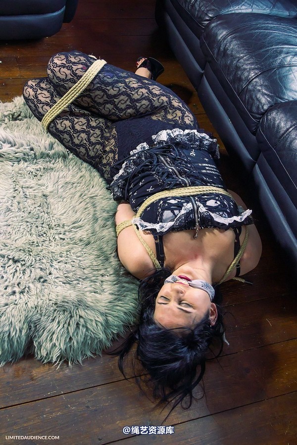 limitedaudience - 2013 dynamo hogtied 第 35 张图片