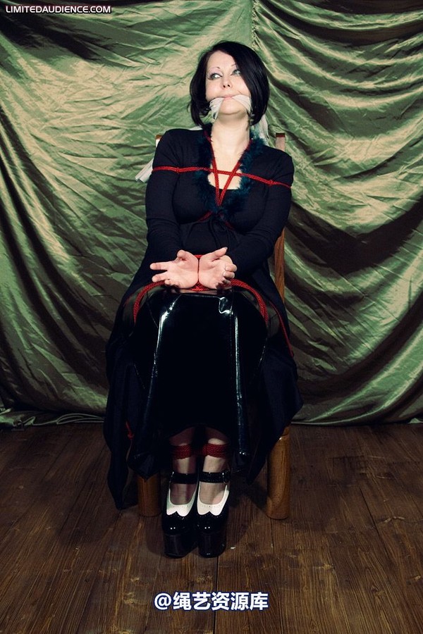 limitedaudience - 2009 deception helpless prisoner 第 31 张图片
