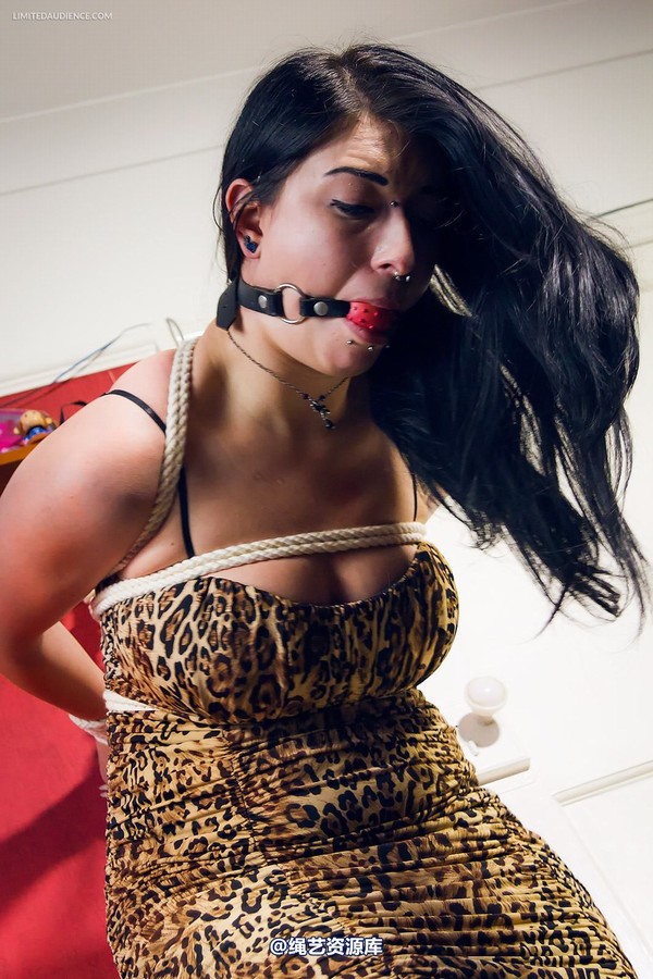 limitedaudience - 2014 stacey von strappado 第 12 张图片