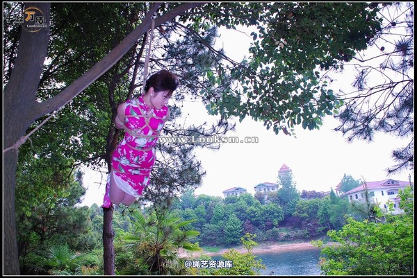 千丝万缕 - 2008-04-23-1日照片 第 38 张图片