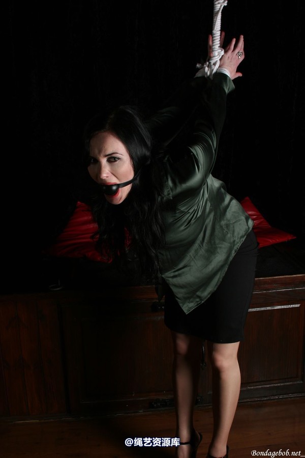 bondagebob - Morrigan Strung up in the dark 第 32 张图片