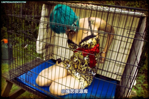 limitedaudience - 2009 b caged animal 第 24 张图片