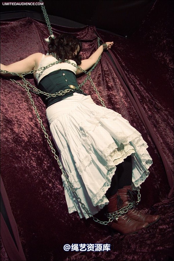 limitedaudience - 2008 veriddian chains on velvet 第 2 张图片