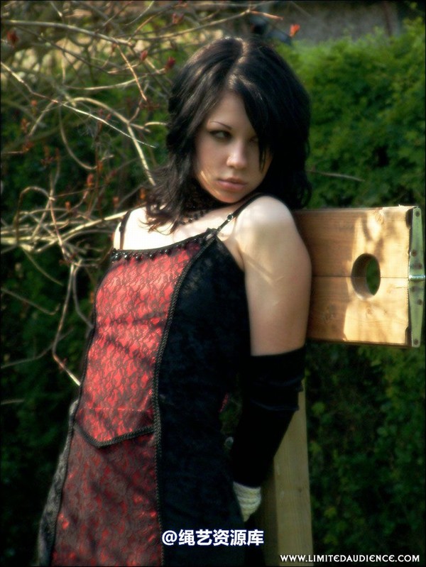 limitedaudience - 2007 dominick destruction public penance 第 21 张图片