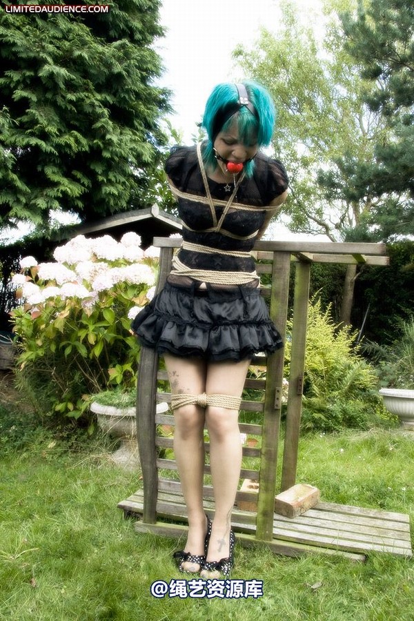 limitedaudience - 2009 b captive pixie 2 第 8 张图片