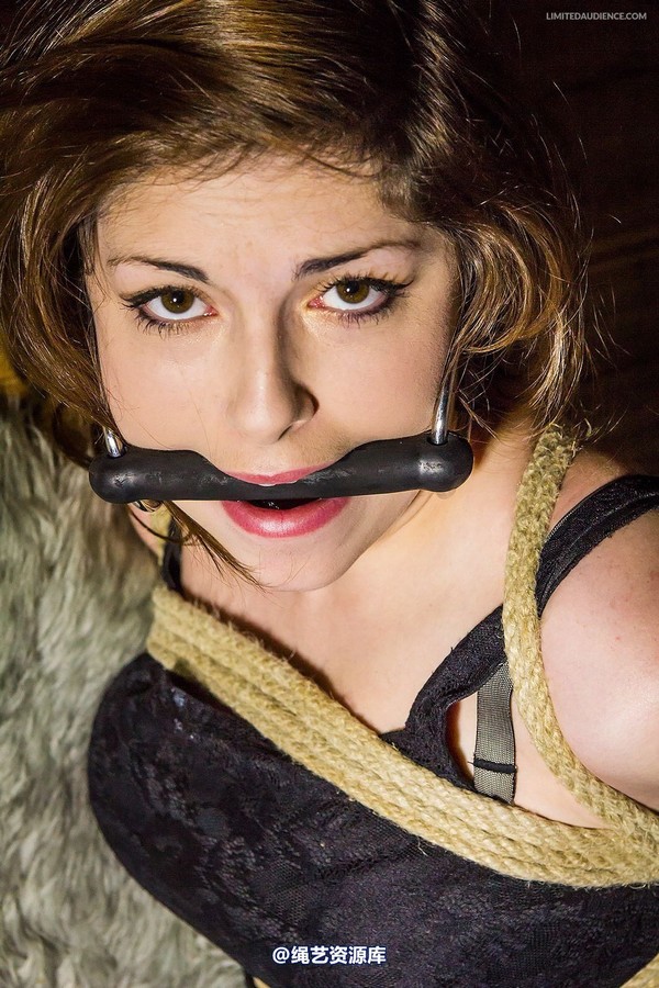 limitedaudience - 2014 trisha hogtied 第 21 张图片