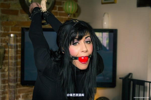 limitedaudience - 2013 nyxon living bondage furniture 第 5 张图片